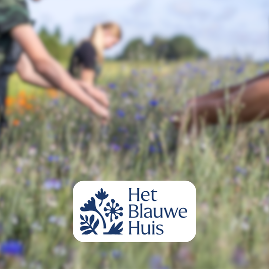Impactpartner: Het Blauwe Huis