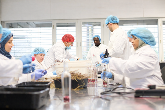 De hele dag koffie drinken | Het verhaal van Jinow
