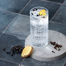 Botanicals Spiced Gin | Bouteille 350 ml | Préparation botanique pour gin épicé | Cadeau original pour amateurs