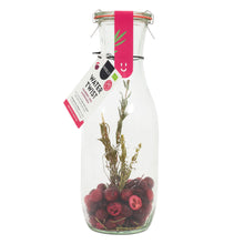 Watertwist Cranberry, Cerise & Romarin BIO | Carafe Weck eau fruitée botanique | Sans sucre, 100 % naturel