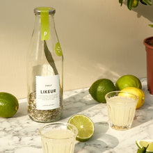 Base pour liqueur Limoncello di Pineut | Carafe | Préparation maison citron vert, eucalyptus, thym & menthe bio