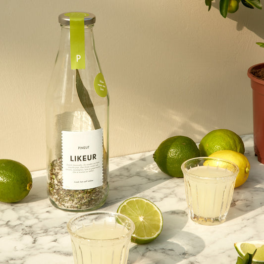Base pour liqueur Limoncello di Pineut | Carafe | Préparation maison citron vert, eucalyptus, thym & menthe bio