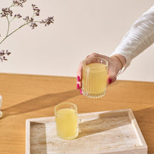 Rum & likeur glazen | Set van 6