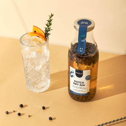 Coffret cocktails Pineut | Bases pour Gin Tonic, Mojito & Moscow Mule | Préparation sans alcool BIO