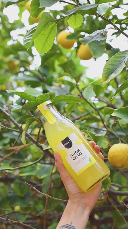 Préparation Limoncello BIO | Kit liqueur maison en bouteille | Recette italienne revisitée | Idée cadeau originale