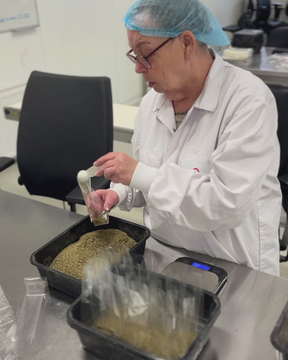 Préparation pour risotto aux pleurotes & herbes | Kit en sachet Pineut x No Waste Army | Recette gourmande & anti-gaspi