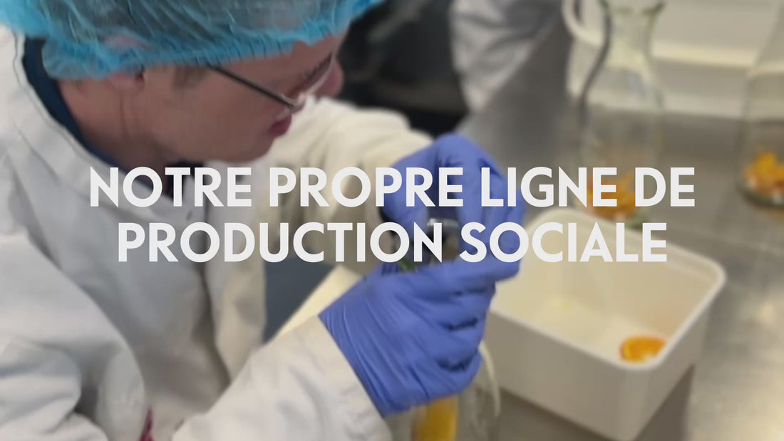 Charger la vidéo : La Maison de Production Pineut