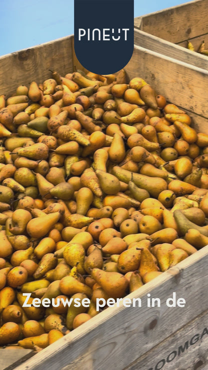 Watertwist Pomme, Poire & Cannelle BIO | Carafe Weck eau fruitée botanique | Sans sucre, 100 % naturel