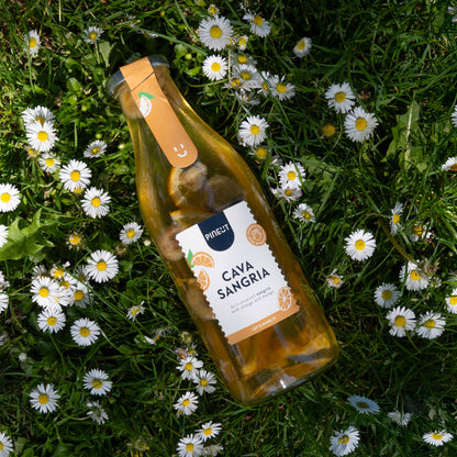 Base pour sangria Cava | Préparation festive BIO | Boisson pétillante & fruitée à partager